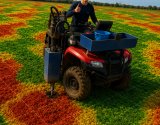 Agricultura de Precisão: tecnologia e eficiência a serviço do produtor