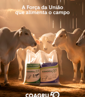 importancia-da-suplementacao-mineral-para-bovinos