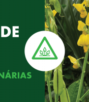 pragas-quarentenarias-cuidados-no-sistema-produtivo