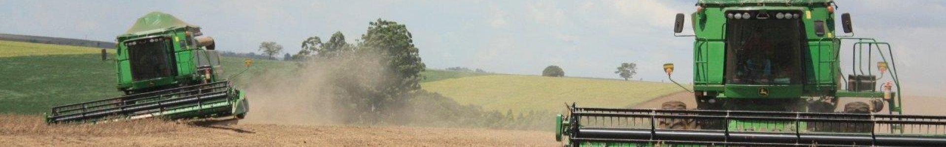 Inicio da colheita de soja e plantio de milho 2ª safra