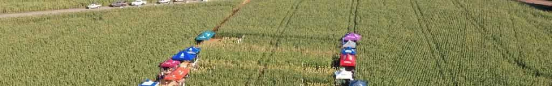 Cooperantes da Unidade do Rio Verde participam de Dia de Campo