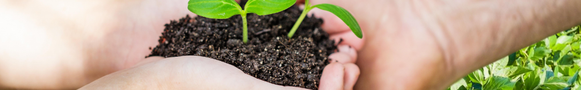 9 de Agosto - Dia dos Pais