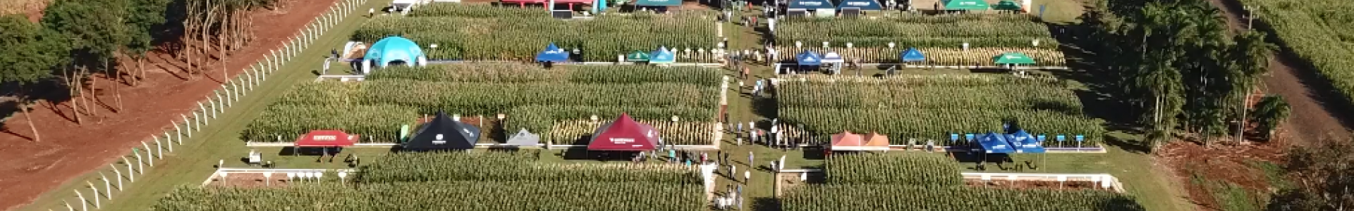 DIA DE CAMPO COAGRU MOSTRA NOVAS TECNOLOGICAS DE INVERNO