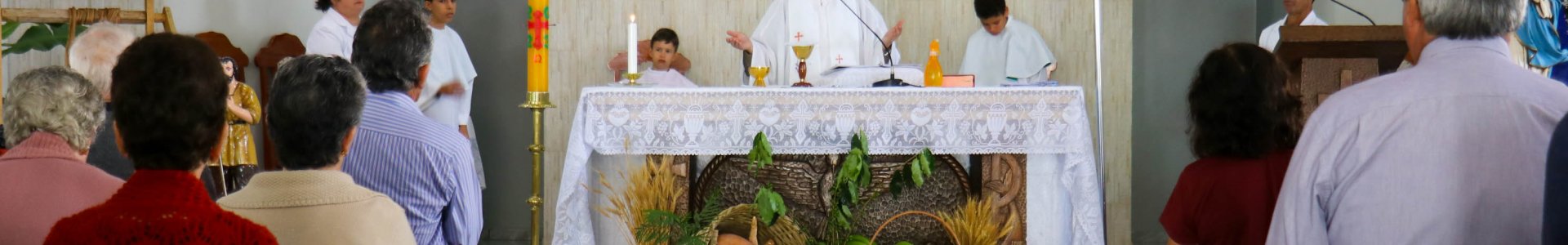 Missa em Ação de Graças pela Colheita é realizada em Anahy
