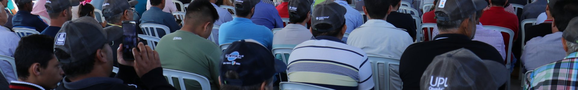 Dia de Campo Coagru apresenta as inovações e tendências para as culturas de inverno e pecuária
