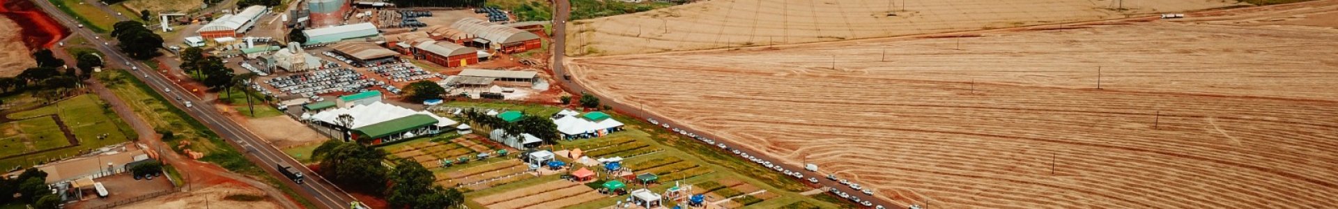 Dia de Campo Coagru de Verão:  tecnologia e conhecimento para o agronegócio