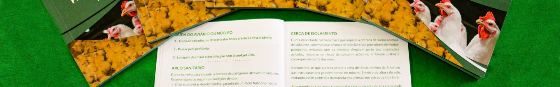 Novo Manual da Avicultura