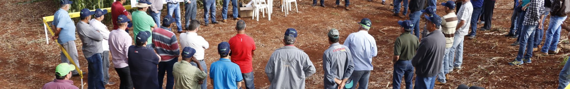 Dias de Campo Descentralizados Movimentaram as Unidades da Coagru