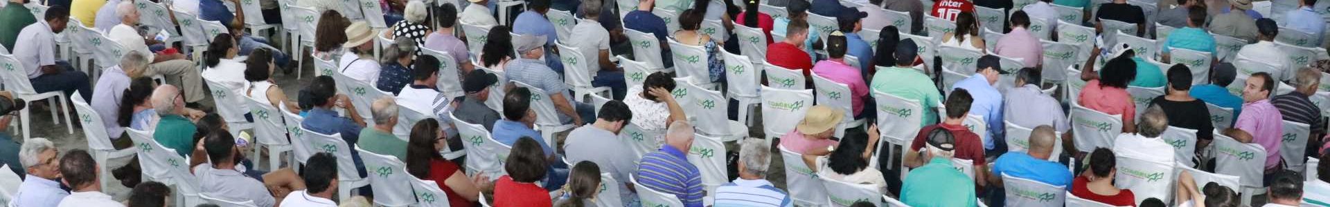 Com números positivos, Coagru apresenta resultados de 2019 em Assembleia