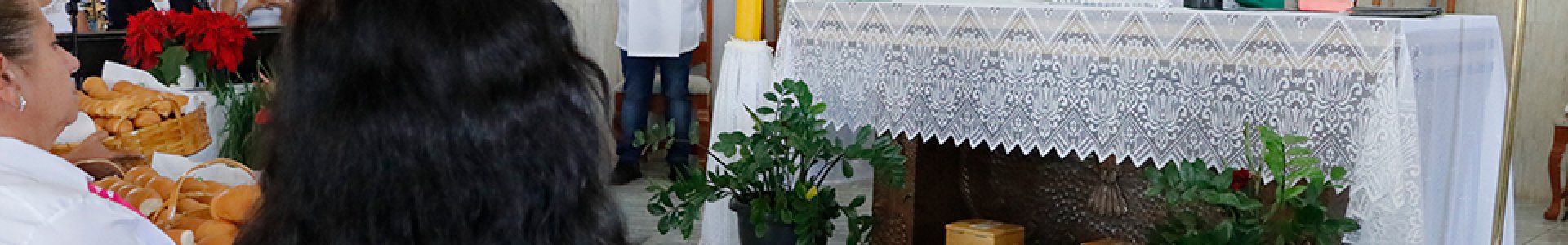 REALIZADA CELEBRAÇÃO EM AÇÃO DE GRAÇAS PELA COLHEITA EM ANAHY