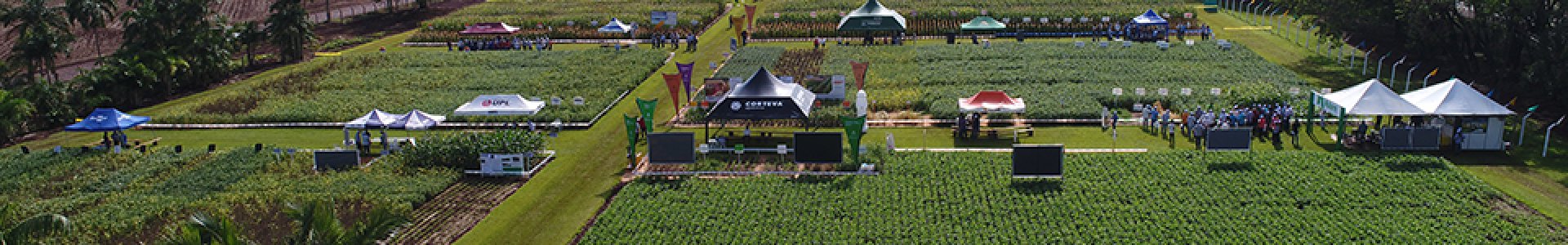 Dia de campo Coagru - compromisso da Cooperativa em levar pesquisa e inovação aos seus cooperantes