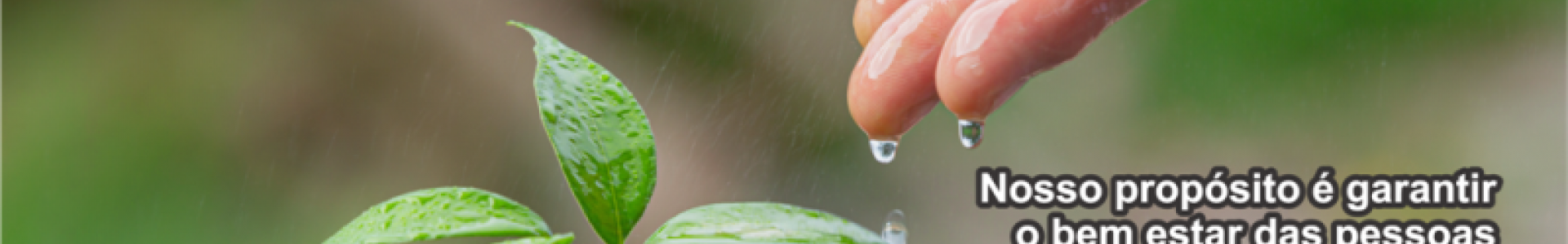 3 de julho - Dia Internacional do Cooperativismo