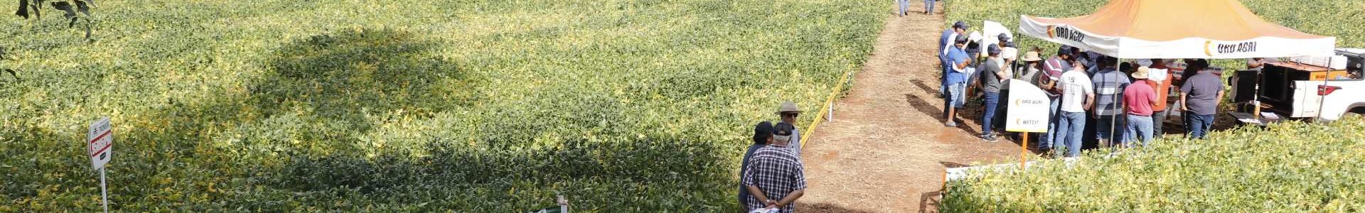 Dias de Campo Descentralizados Movimentaram as Unidades da Coagru