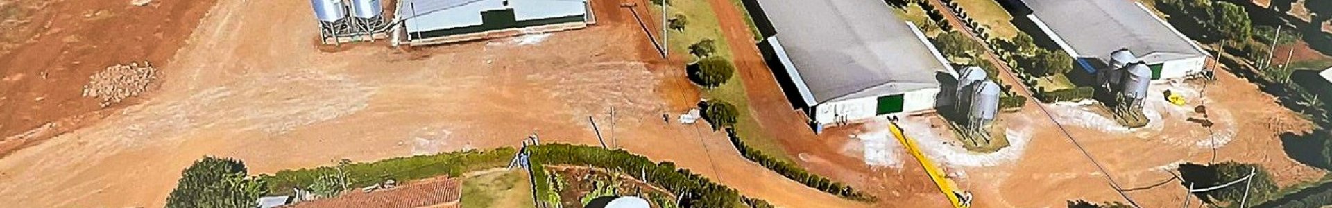 Falha no fornecimento de energia causa morte de quase 15 mil aves em Roncador