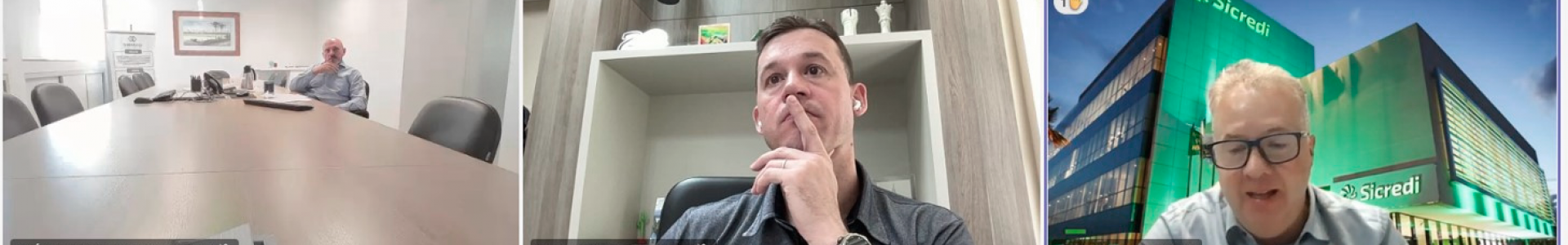 Conselho Fiscal da Ocepar avalia balancetes e contribuições em reunião virtual