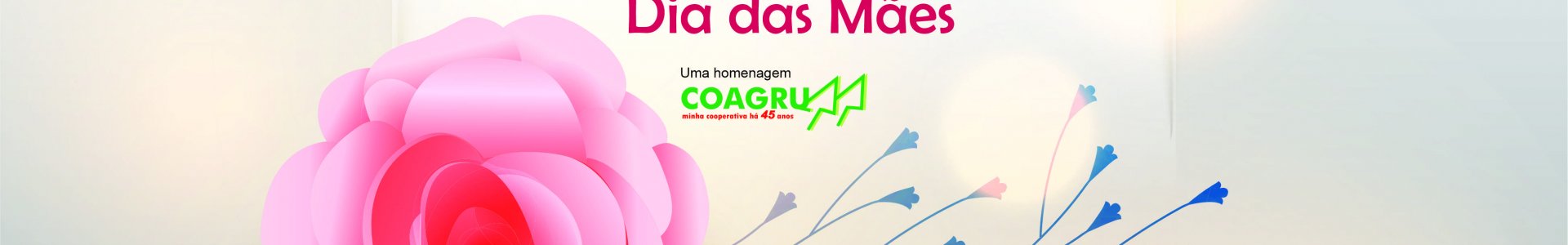 Feliz Dia das Mães