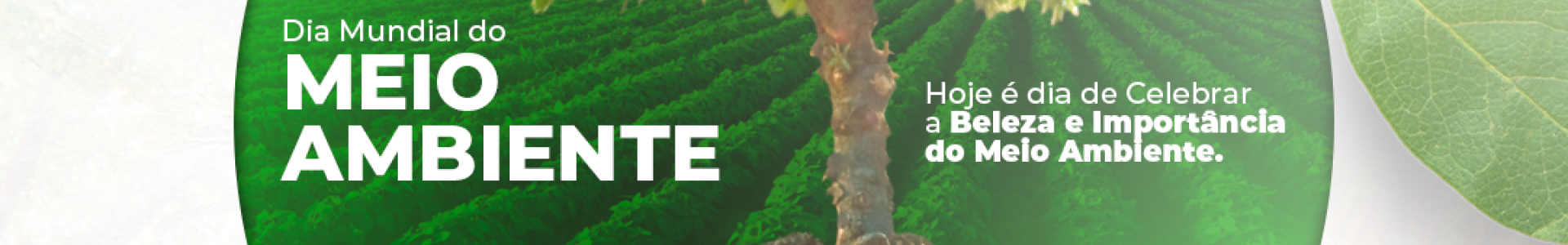 Dia Mundial do Meio Ambiente