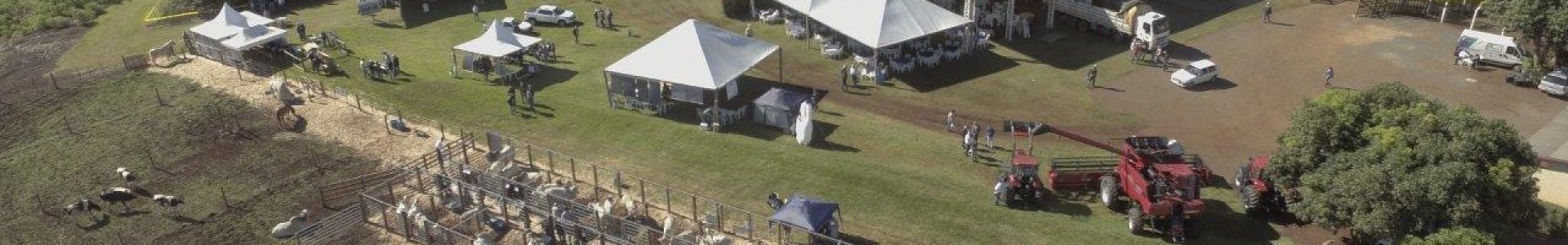 Porteiras abertas para o 4º Dia de Campo do Pecuarista Coagru