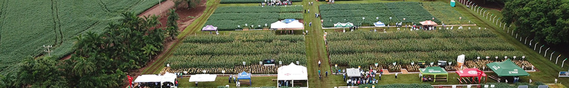 Dia de Campo de Verão mostra desafios e soluções tecnológicas