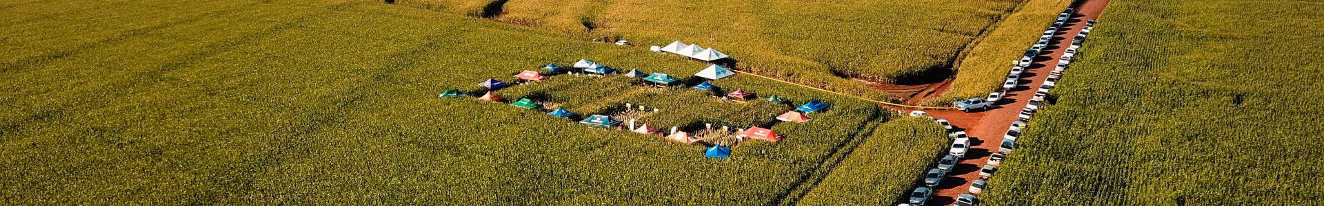 Coagru realizou os Dias de Campo Descentralizados