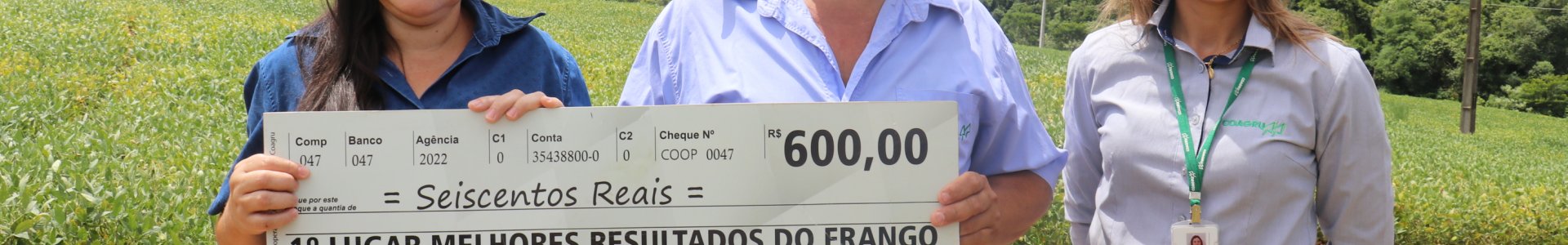 Melhores resultados do frango - Novembro/2023