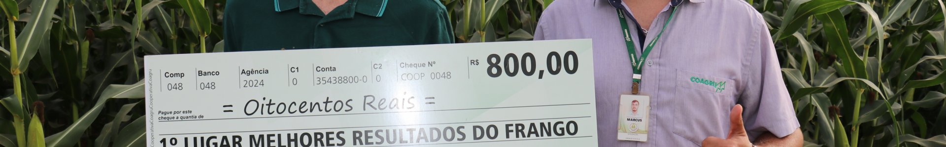 Melhores resultados do frango - Março/2024