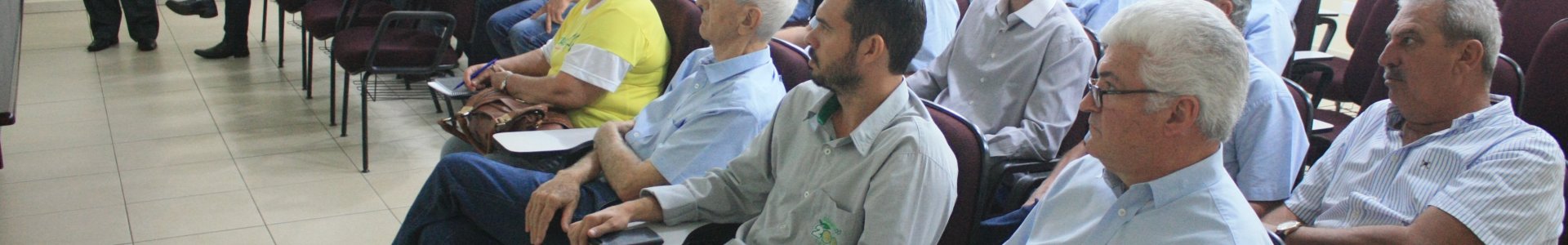 Auditoria Externa apresenta Relatório sobre as Demonstrações Contábeis de 2016