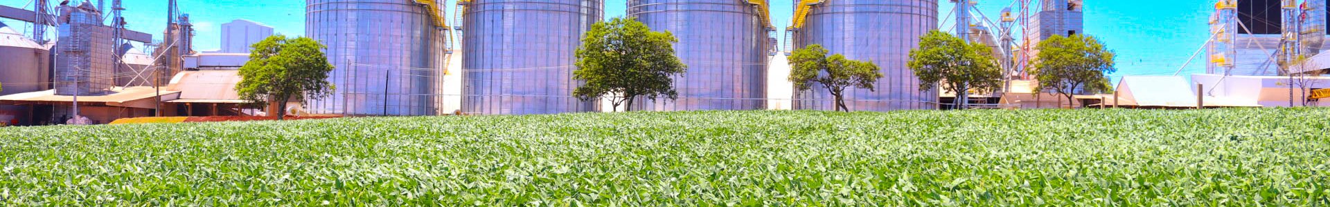 Coagru: cooperativa recebe o maior volume de cereais de sua história