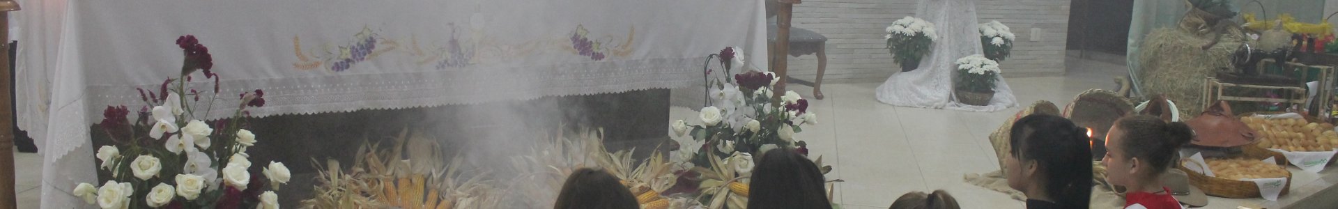 Missa em Ação de Graças pela colheita é realizada em Nova Cantu