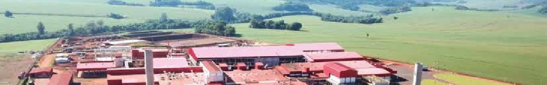 Avicultura em expansão: é hora de investir