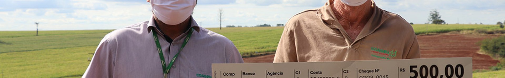 MELHORES RESULTADOS DO FRANGO MAIO 2021