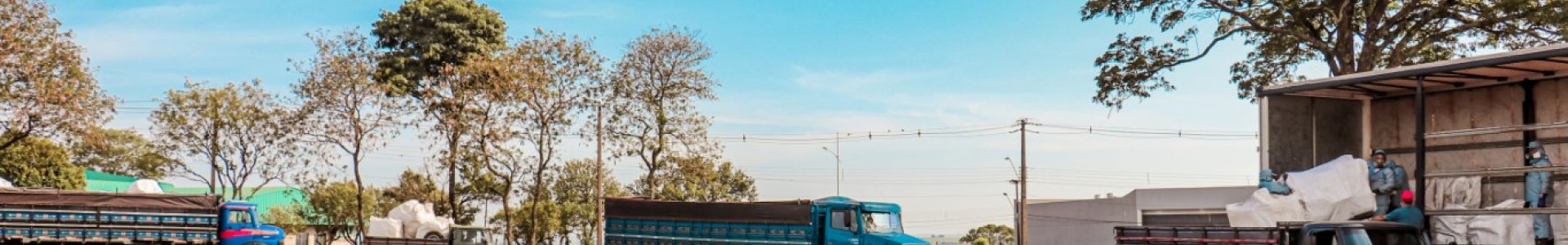 Ação de Recolhimento de Embalagens de Defensivos Agrícolas: Um Compromisso com a Sustentabilidade