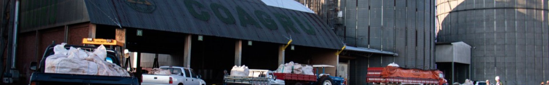 Parceria entre Coagru e Adita promove reciclagem no campo 