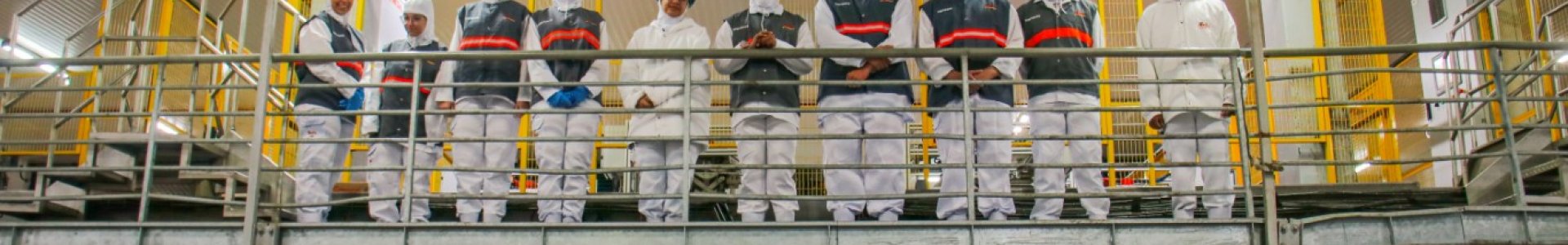 Unidade Avícola da Coagru realiza imersão técnica no Abatedouro da Unitá