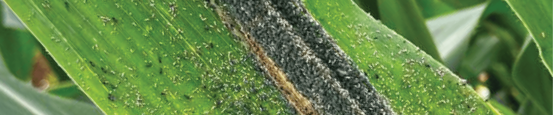 Monitoramento e manejo das principais pragas do milho 2ª safra 