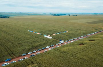 adubacao-foliar-no-milho-e-tema-dos-dias-de-campo-descentralizados-da-coagru