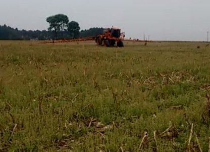 Manejo de dessecação no pré-plantio da cultura da soja