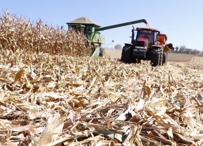 SAFRA DE SOJA SEVERAMENTE PREJUDICADA MAS 2ª SAFRA DE MILHO DEVERÁ AMENIZAR OS PREJUÍZOS