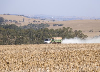 Correção da Fertilidade do Solo para a Safra Verão 2020/2021