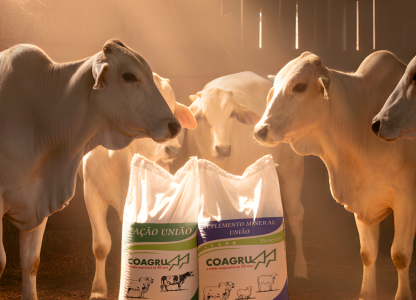 Importância da suplementação mineral para bovinos