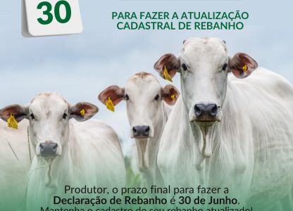 Atualização obrigatória de rebanhos termina em 30 de junho no Paraná