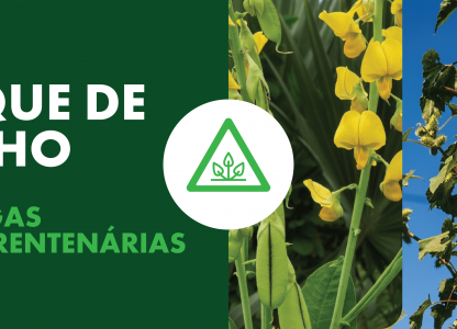 Pragas Quarentenárias: Cuidados no Sistema Produtivo