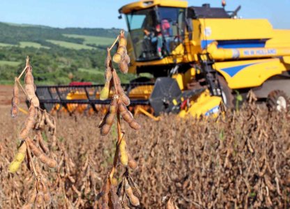 Expectativas para a colheita da soja 2019/2020 