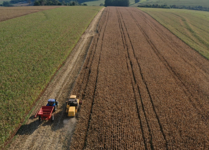 Colheita Milho 2ª Safra