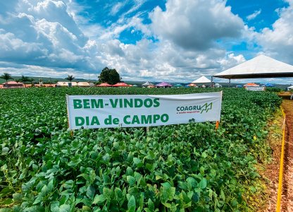 Dias de Campo Descentralizados