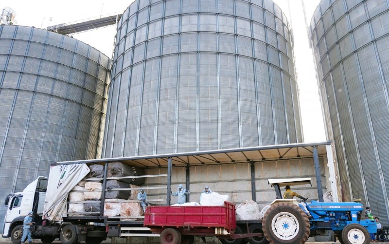 Yolanda e Rio Verde recolhem embalagens vazias de defensivos agrícolas