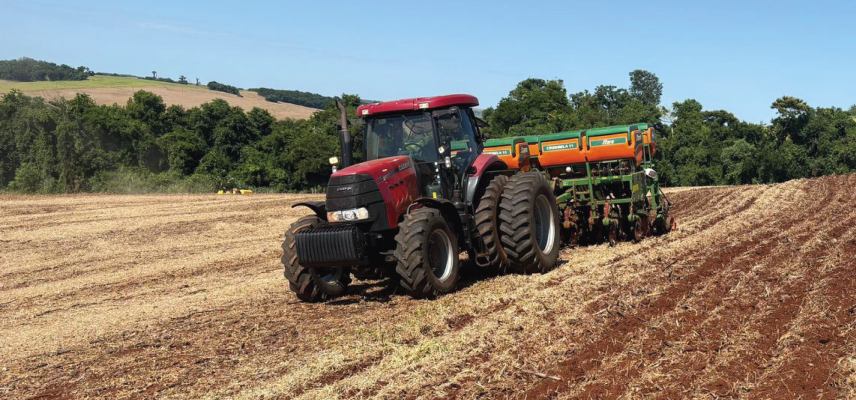 Milho Safrinha 2026: Planejamento e Manejo 