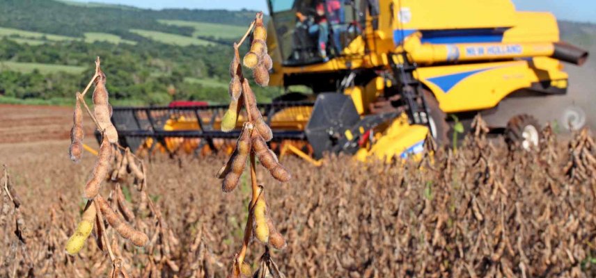 Expectativas para a colheita da soja 2019/2020 