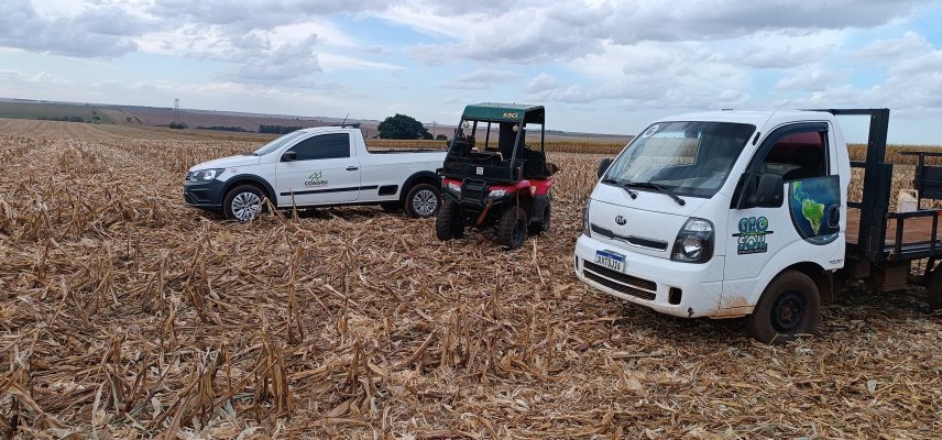 Janela Estratégica: Oportunidade para Manejo e Correção do Solo antes da Safra de Verão