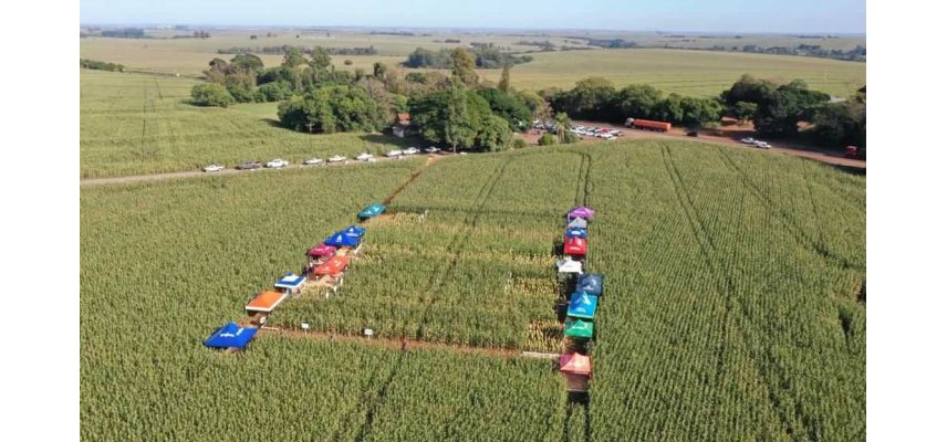 Cooperantes da Unidade do Rio Verde participam de Dia de Campo